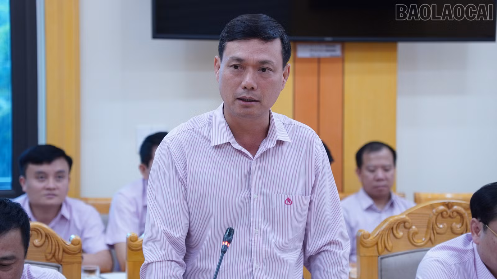 baolaocai-tr_nh13.jpg
