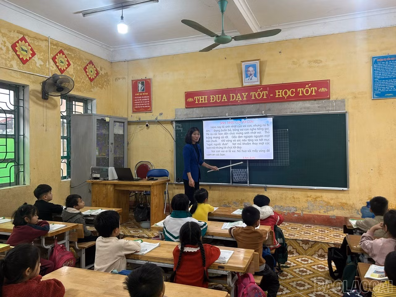 baolaocai-br_z7481957670209-781a3756566ed7ac26ab376c67864291.jpg