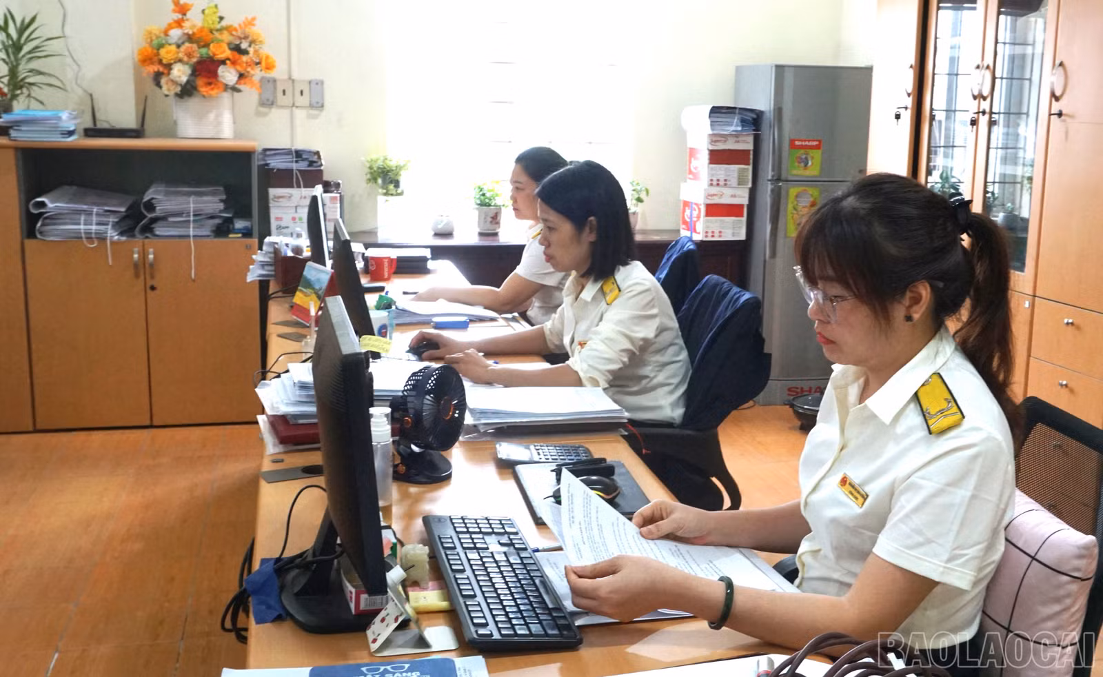 baolaocai-br_dsc00732.jpg