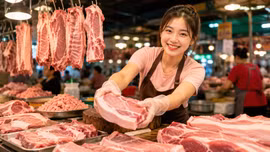 Giá lợn hơi hôm nay 25/8: Chỉ còn một nơi ở mức 56.000 đồng/kg