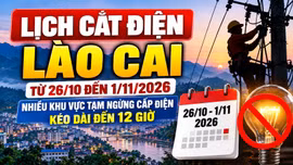 Lịch cắt điện Lào Cai từ ngày 26/10-1/11: Có nơi gián đoạn 12 giờ