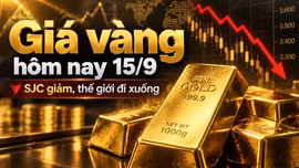 Giá vàng hôm nay 15/9/2026: Vàng thế giới giảm sốc, SJC chờ thay đổi