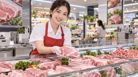Giá lợn hơi hôm nay 21/9/2026: Ba miền đi ngang, miền Bắc cao nhất