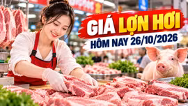 Giá lợn hơi hôm nay 26/10: Nhiều địa phương ở mức 46.000 - 47.000 đồng/kg
