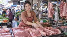 Giá lợn hơi hôm nay 17/9/2026: Mốc 60.000 đồng/kg xuất hiện