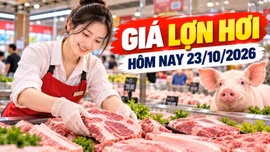 Giá lợn hơi hôm nay 23/10/2026: Thấp nhất 46.000 đồng/kg