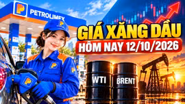 Giá xăng dầu hôm nay 12/10/2026: Dầu thế giới biến động nhẹ đầu tuần