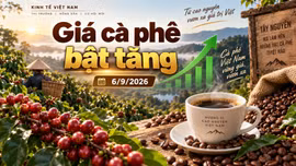 Giá cà phê hôm nay 6/9 đảo chiều tăng, Tây Nguyên thêm 1.000 đồng/kg