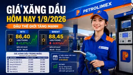 Giá xăng dầu hôm nay 1/9: Dầu thế giới biến động mạnh