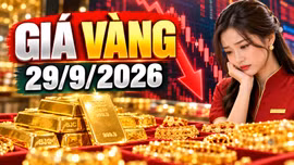 Giá vàng hôm nay 29/9/2026: Vàng thế giới lao dốc, SJC tiếp tục giảm?