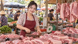 Giá lợn hơi hôm nay 19/9/2026: Thị trường tiếp tục đi ngang