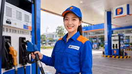 Giá xăng dầu hôm nay 29/8: Dầu thế giới giảm cuối tuần, trong nước vừa hạ giá