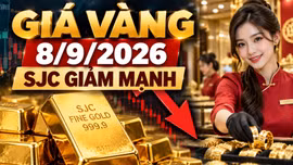 Giá vàng hôm nay 8/9: SJC giảm mạnh, vàng thế giới lùi về 4.413 USD