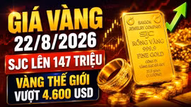 Giá vàng hôm nay 22/8: Vàng thế giới lập đỉnh hơn 3 tháng, trong nước tăng?
