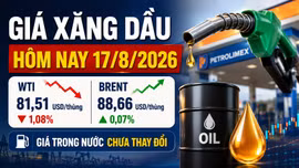 Giá xăng dầu hôm nay 17/8: WTI giảm, Brent vẫn trên 88 USD