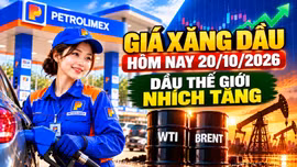 Giá xăng dầu hôm nay 20/10: Dầu thế giới tăng, áp lực giá trong nước còn lớn