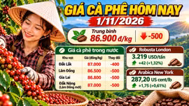 Giá cà phê hôm nay 1/11: Trong nước giảm, Robusta và Arabica cùng tăng