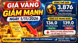 Giá vàng hôm nay 1/11: SJC lao dốc, vàng thế giới giữ vùng thấp nhất một năm