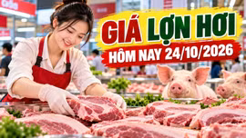 Giá lợn hơi hôm nay 24/10/2026: Thấp nhất 46.000 đồng/kg