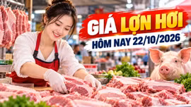 Giá lợn hơi hôm nay 22/10: Cả nước dao động 47.000 - 52.000 đồng/kg