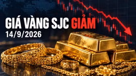 Giá vàng sáng 14/9 biến động trái chiều, SJC giảm 300.000 đồng/lượng
