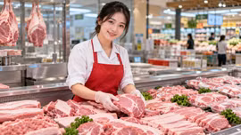 Giá lợn hơi hôm nay 6/10/2026: Cao nhất 56.000 đồng/kg