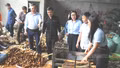 Ngành quế 8 tháng năm 2026: Thị trường nào đang thay thế dần "ngôi vương" châu Á?