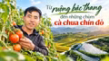 Từ ruộng bậc thang đến những chùm cà chua chín đỏ