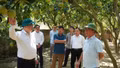 Đồng chí Sùng A Lềnh làm việc với Đảng ủy phường Trung Tâm, khảo sát thực tế tại tổ dân phố Quân Chanh