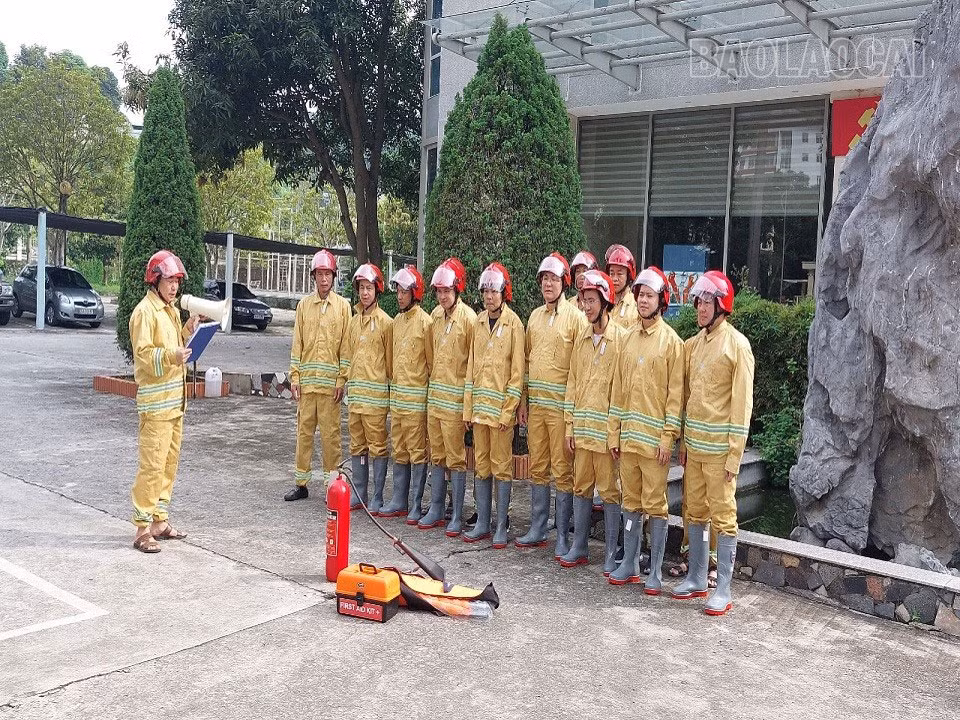 pc1.jpg