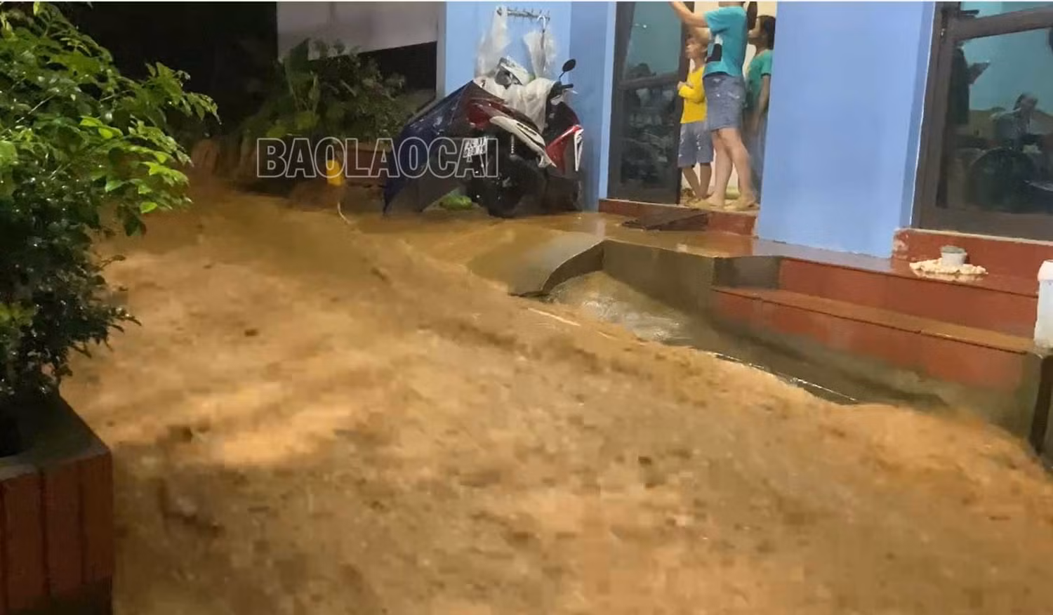Sp1.jpg