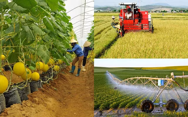 Tạo điều kiện thuận lợi để các tổ chức kinh tế hợp tác phát triển hiệu quả, bền vững - Ảnh 1.