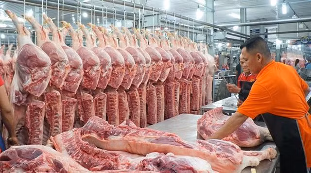 Thực hiện ngay các biện pháp bình ổn giá thịt lợn - Ảnh 1.
