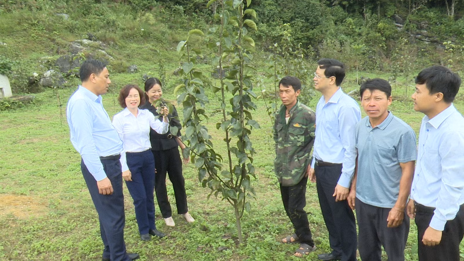 Hoàng Giang 2.jpg