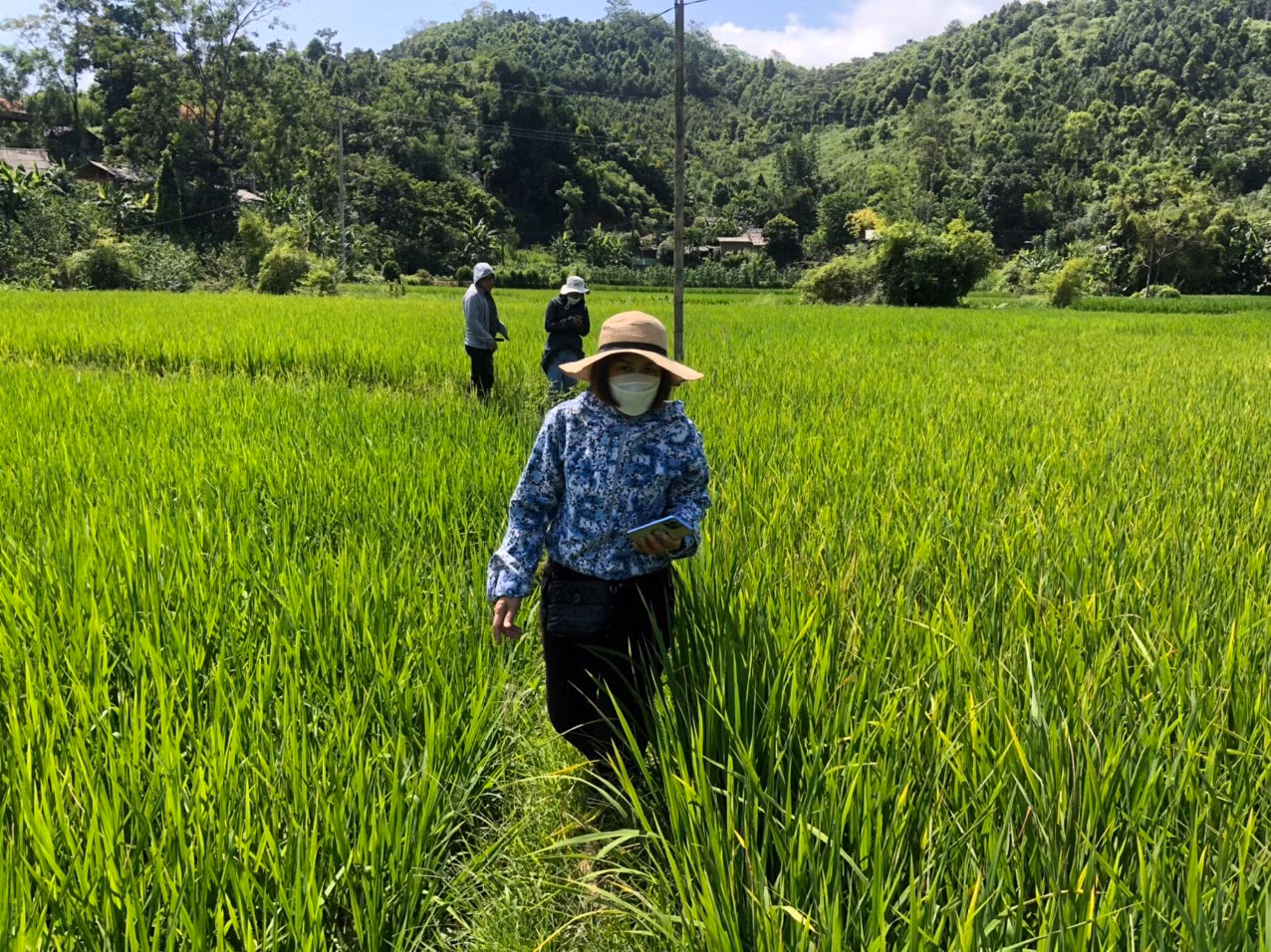 cán bộ cơ quan chuyên môn thăm nắm đồng ruộng.jpg