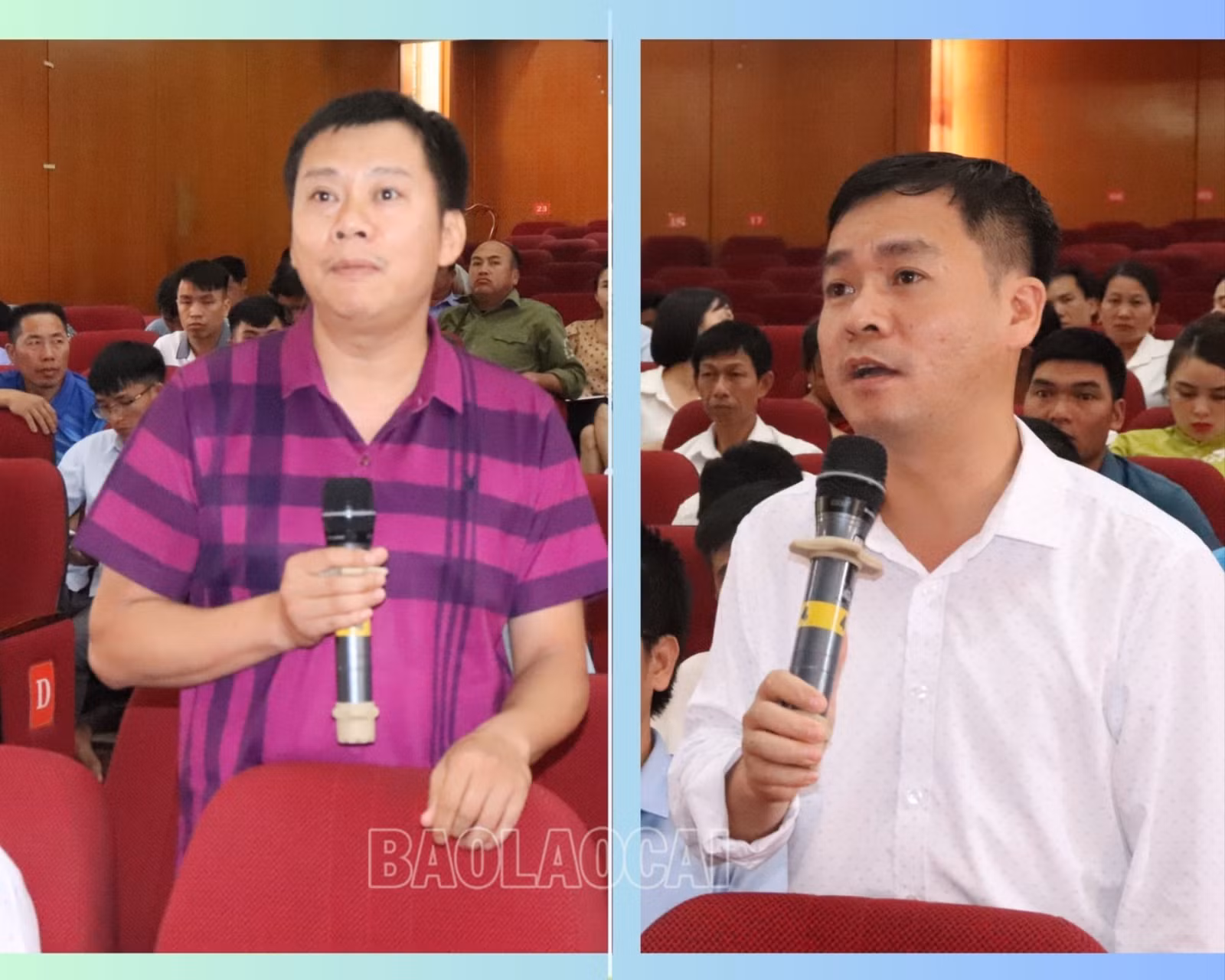 các nganh trả lời y kiên.jpg