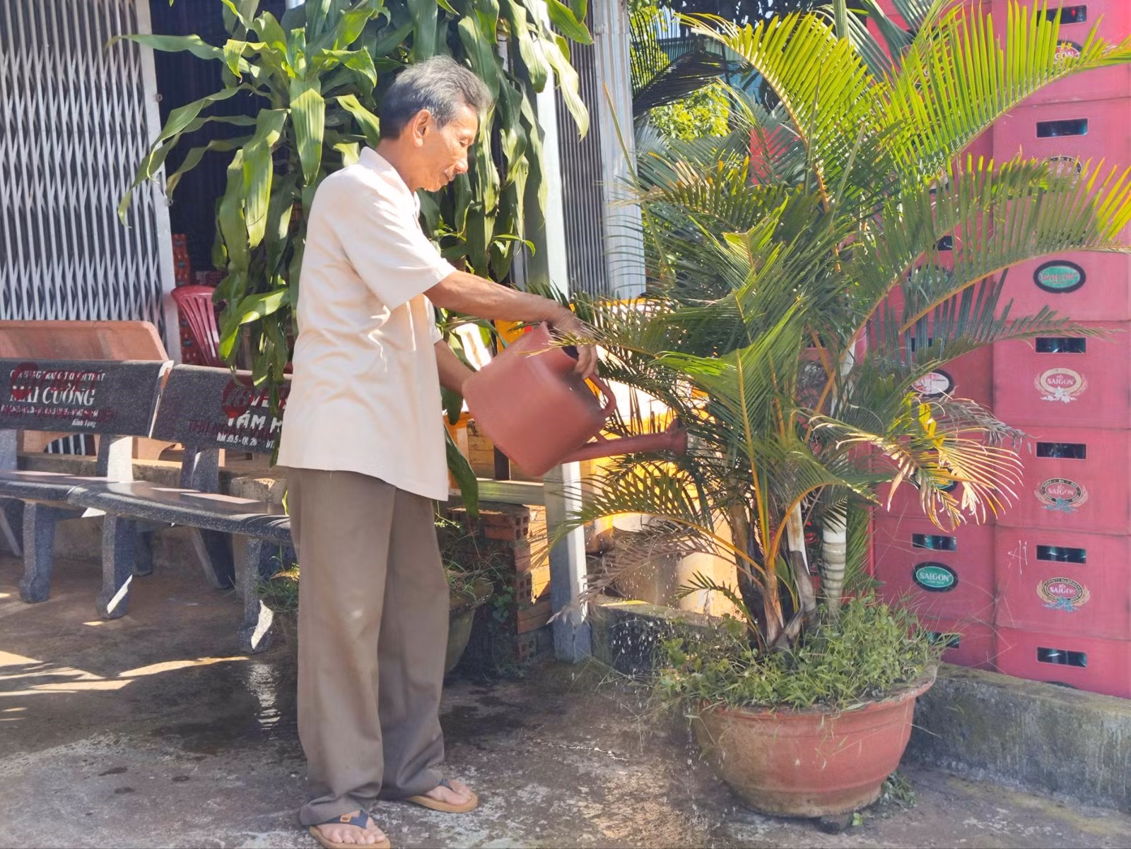 thuốc 2.jpg