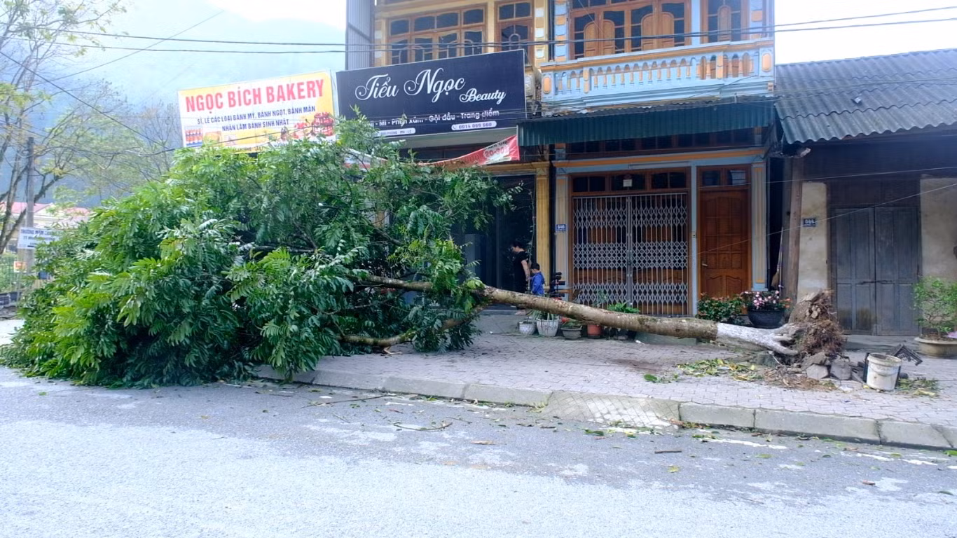 dông lốc 2.jpg
