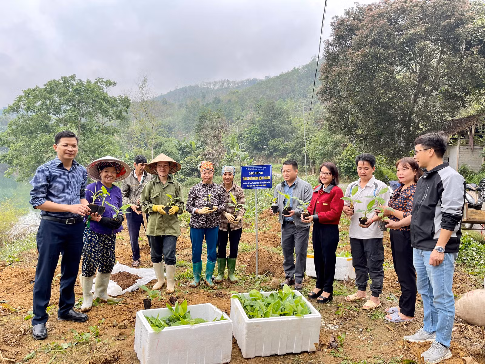 Cấp giống cho hộ gia đình để triển khai thực hiện mô hình.jpg