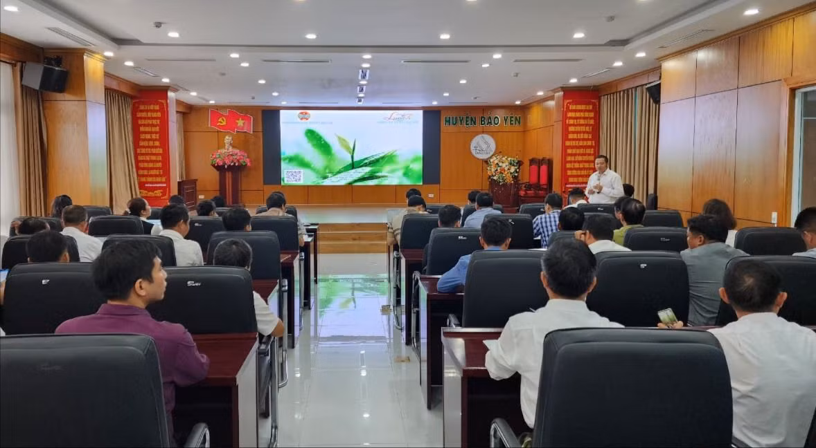 Đại diện Công ty TNHH Lucavi đánh giá hiệu quả mô hình.jpg