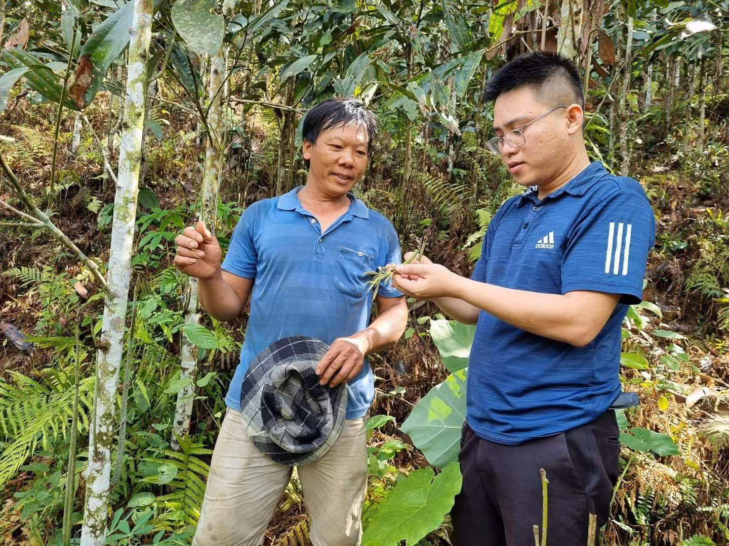 Cơ quan chuyên môn tăng cường phối hợp với địa phương kiểm tra thực địa và tuyên truyền, khuyến cáo người dân cách phòng trừ bọ, tránh để lây lan ra diện rộng.jpg