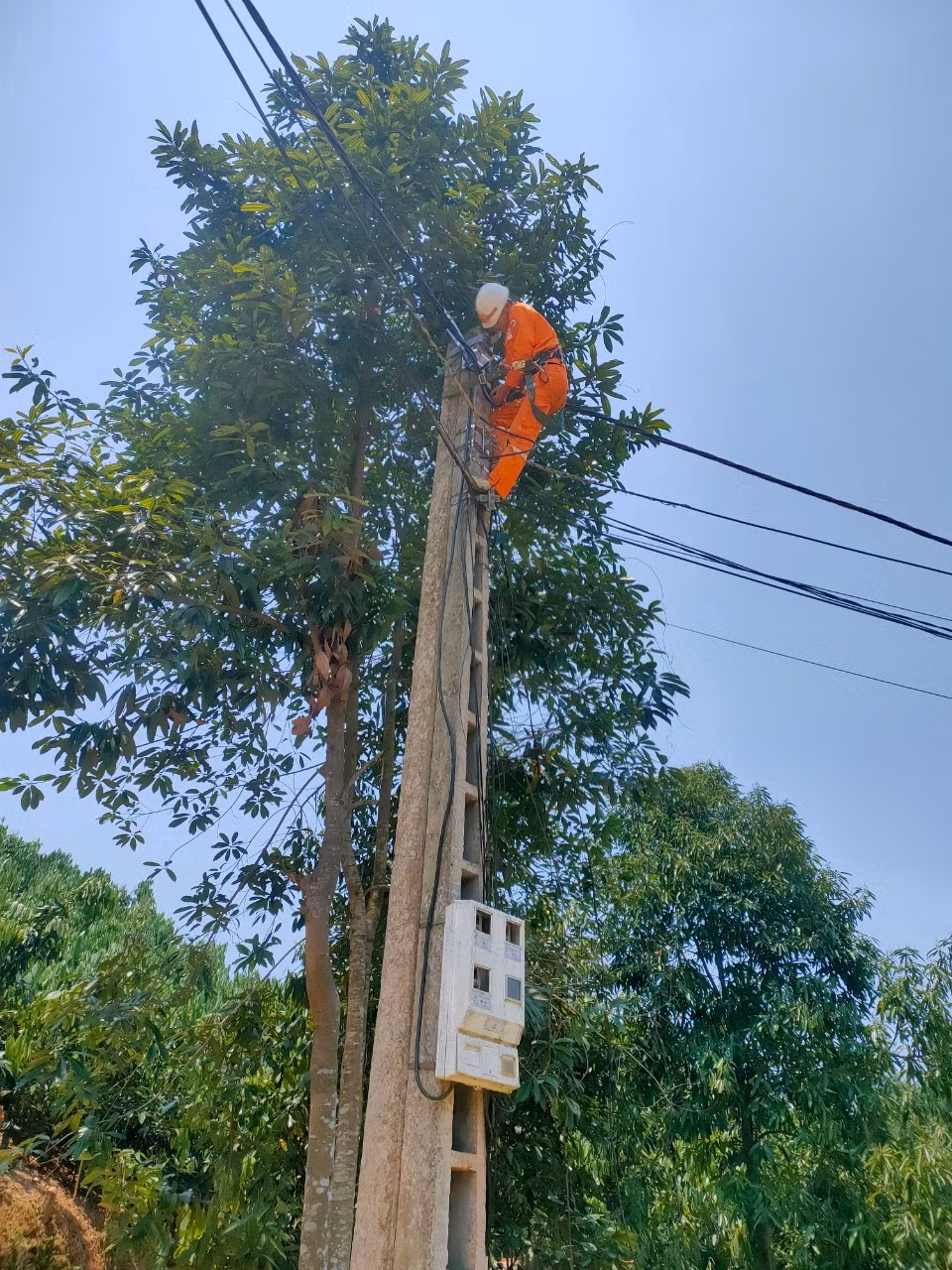 Ảnh 2.jpg