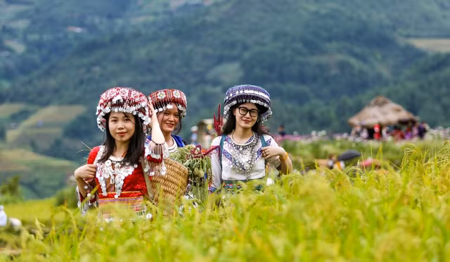 Bức tranh mùa vàng đẹp ngỡ ngàng của đồi mâm xôi ở Yên Bái - Ảnh 14.