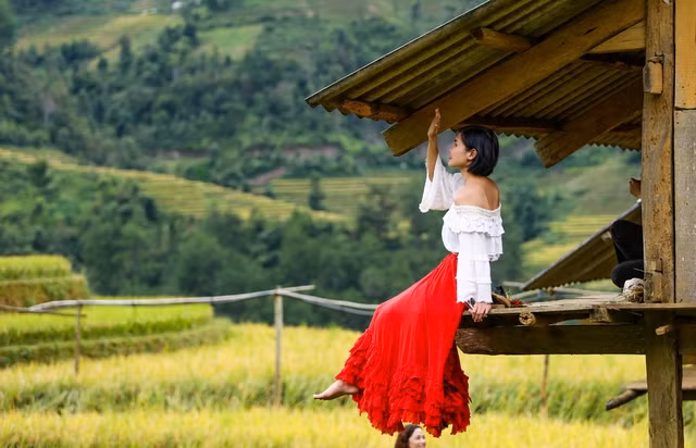 Bức tranh mùa vàng đẹp ngỡ ngàng của đồi mâm xôi ở Yên Bái - Ảnh 15.
