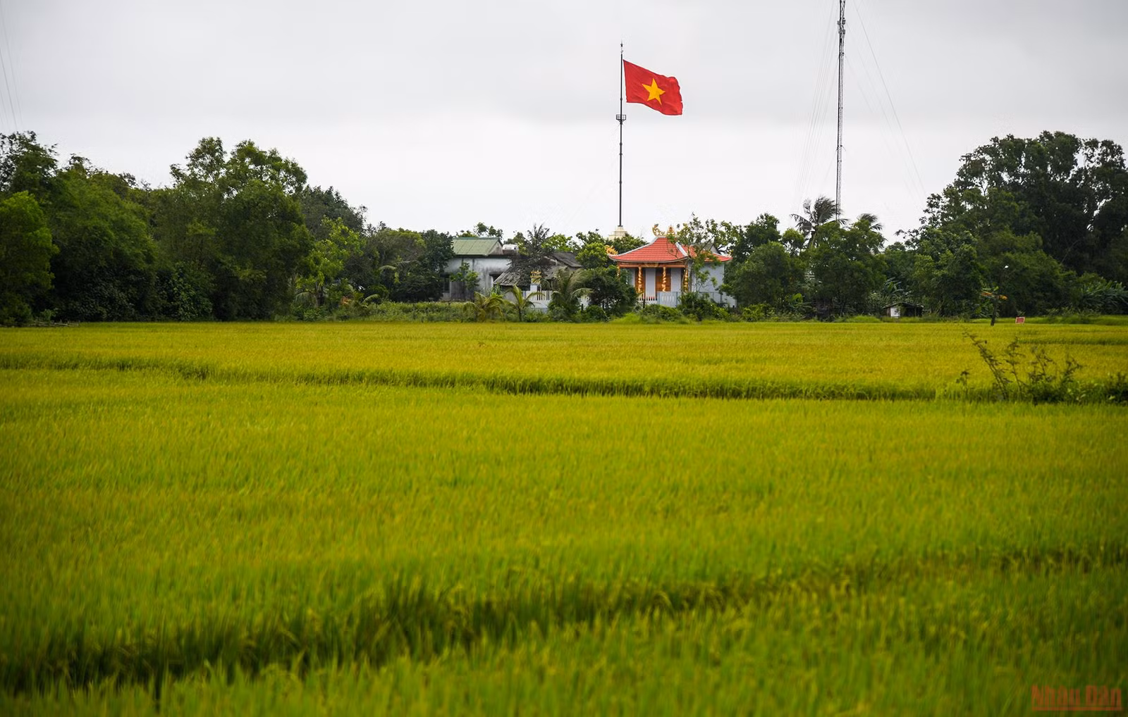 Chung một dòng sông: Những mối tình đôi bờ vĩ tuyến -0