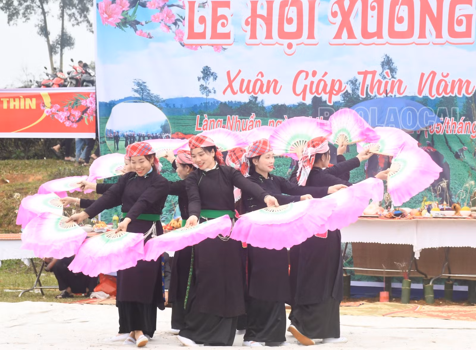 PN8.JPG