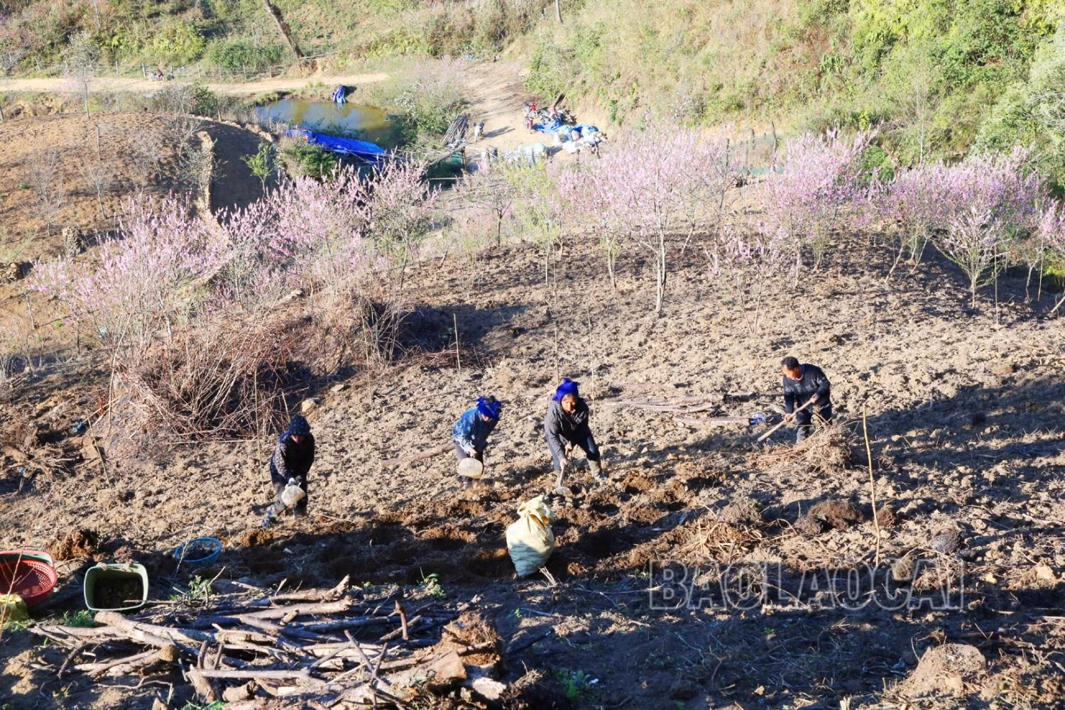 1.JPG