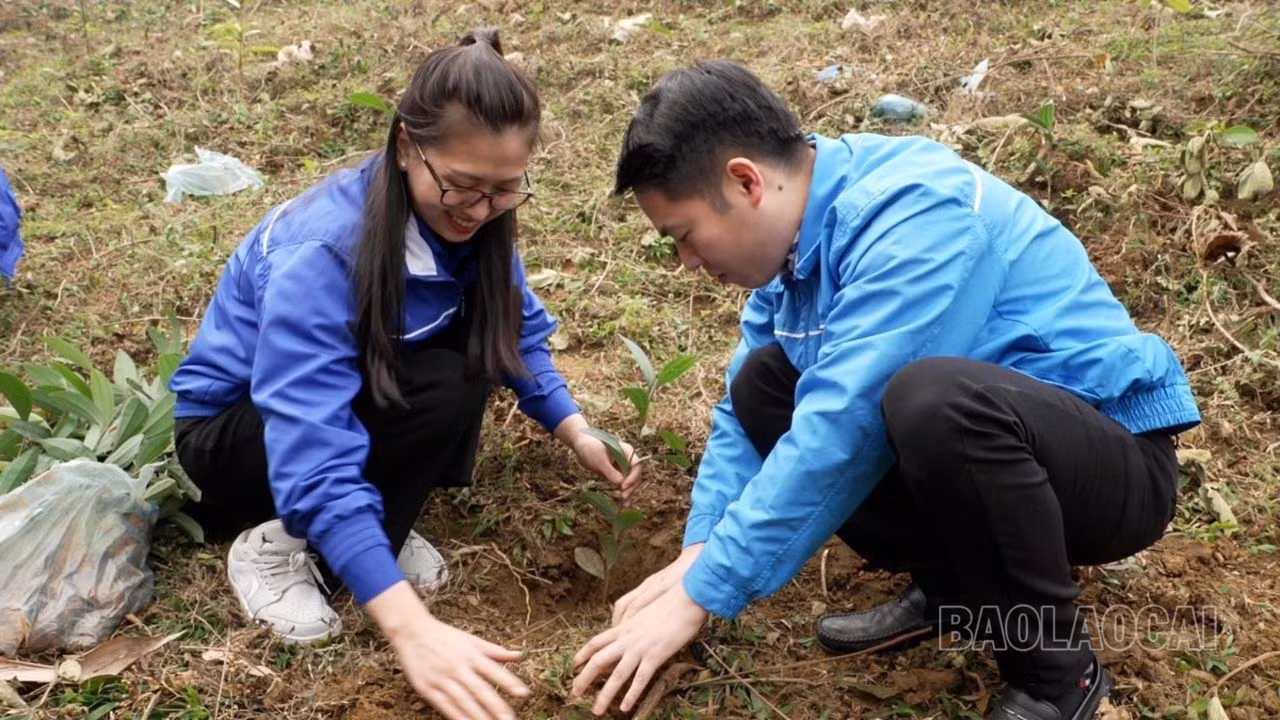 IMG_8009.JPG