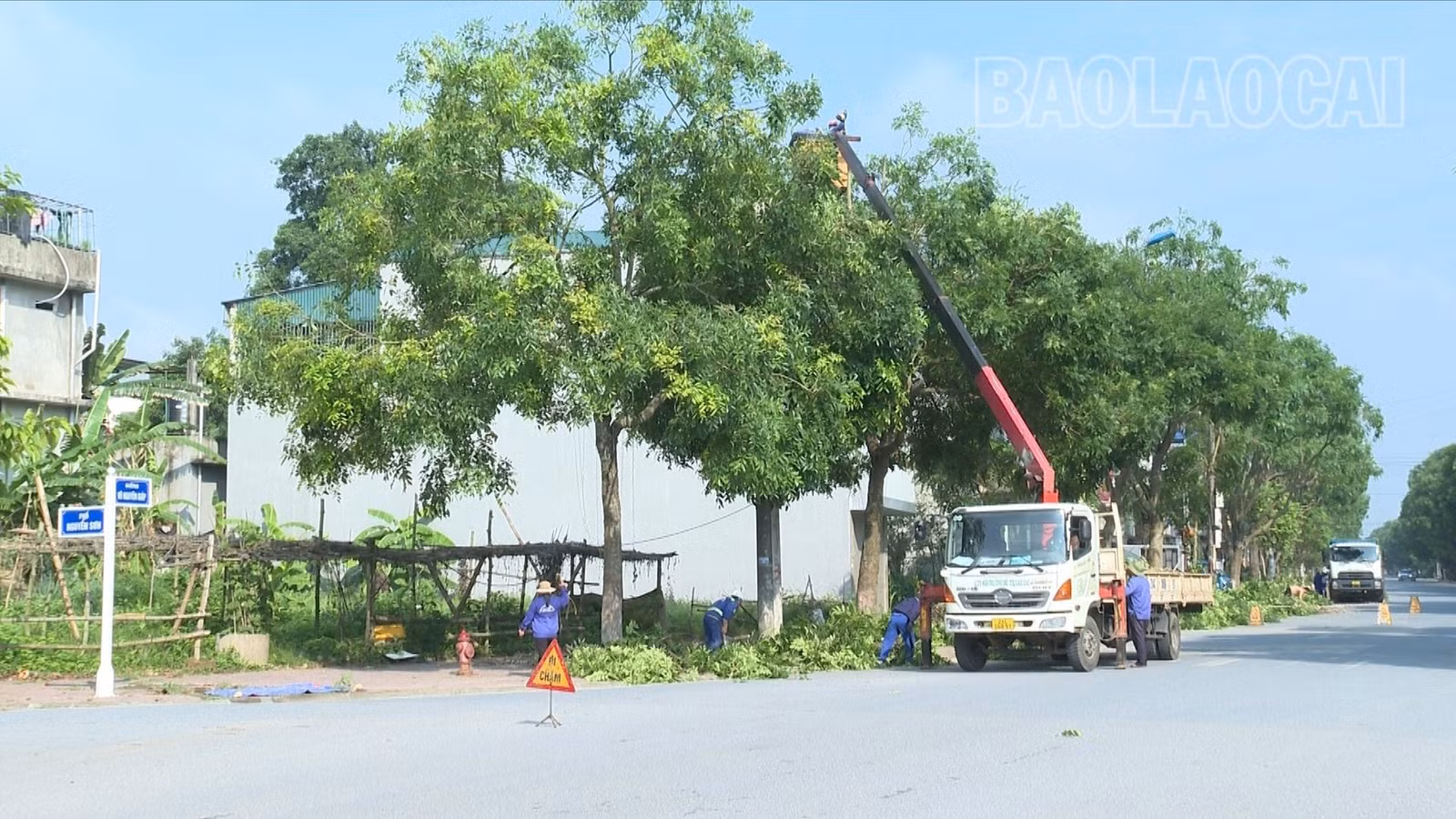 cắt cây xanh đô thị.jpg