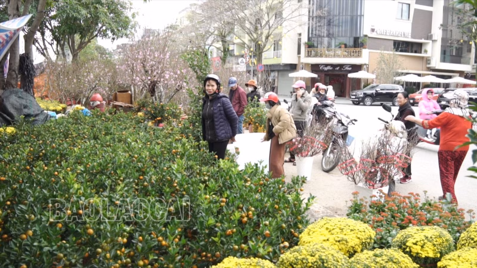 Khách chọn mua hoa.jpg